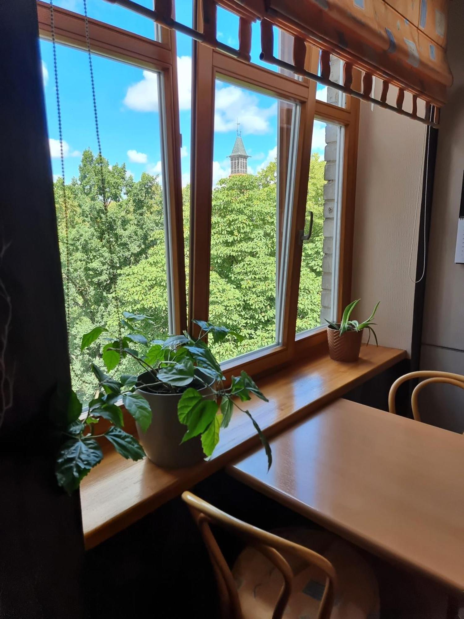 Js Apartamentai Su Savarankisku Isiregistravimu Klaipeda Luaran gambar